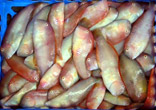 fish from ibiza